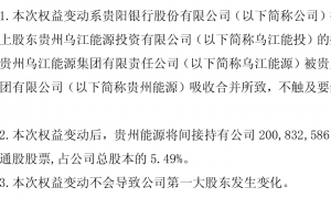 17个月苦等监管核准未果！36岁的贵阳银行拟任董事余瑞未履职先辞任
