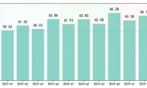 原创 
            失去辛巴的“第一个”双11，让快手有点急