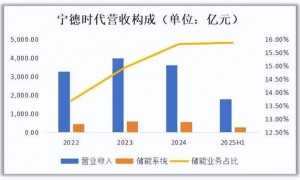宁王，在时代中迷茫