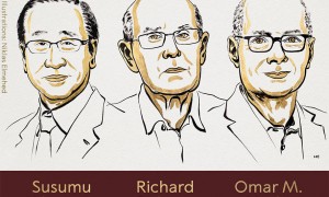 2025年诺贝尔化学奖揭晓，日、澳、美三国科学家平分835万人民币！