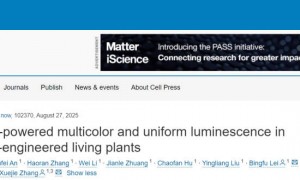 《阿凡达》发光植物成真：科学家打造发光多肉，发光持续时间最长达2小时