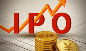 两个湖北“70后”，要把“修下水道”的巍特环境做上市！