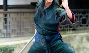 王晶疑暗讽刘德华不敬业：不懂功夫就用替身，不如郑少秋努力！