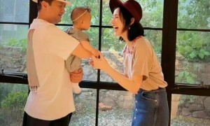 李亚鹏离婚是为避债？律师揭秘婚内债务迷局：得满足两个条件