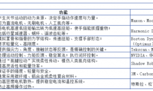 「一只手」，掐住了特斯拉的万亿市值