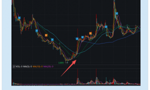 2025年港股通现异常纳入：陆控停牌叠加财务风险仍入通 因持续停牌幸未引南向资金买入
