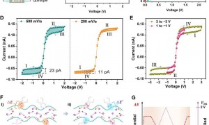 刚得诺奖的成果被做成芯片了