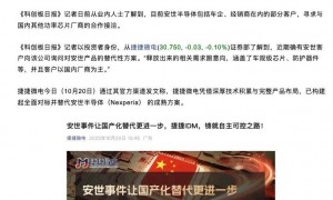 又菜又爱玩的荷兰人，在安世半导体上翻车了。。。
