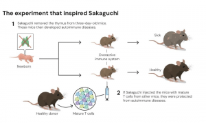 从退学到诺奖，一个叛逆“东亚小孩”的胜利